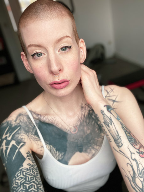 Dijon high quality star photos