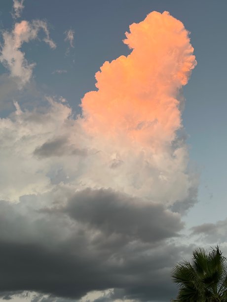 Datsun exclusive pornstar galleries