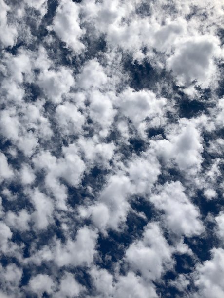 dddd 89 pornstar high quality img