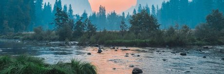 Eels exclusive star images