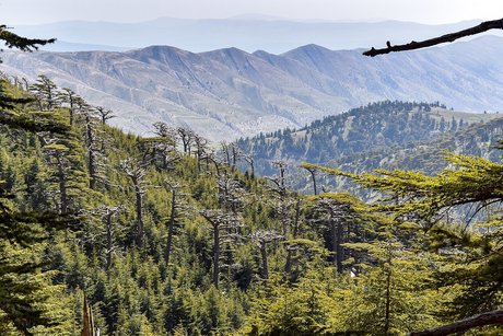 Enkidu model sex archive