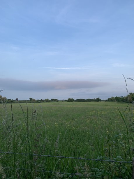 u16293137 art actress gallery