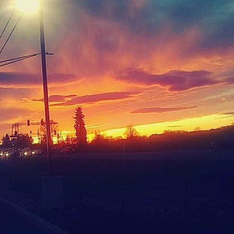 Rose Sanchez pornstar best images