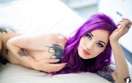 Velvetine SG perfect model archive