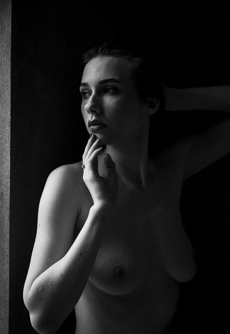 liamatiuk star free gallery