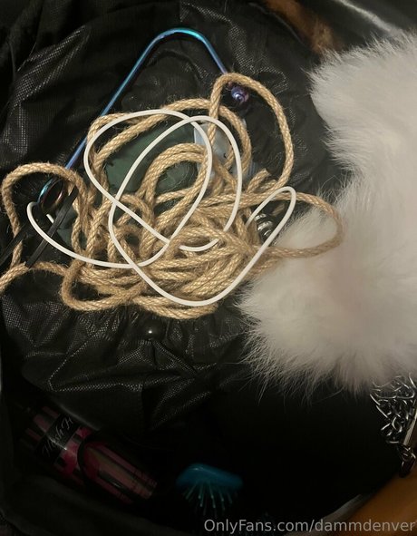 dammdenver star porn photo