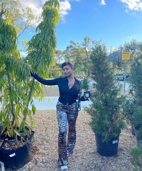 Plantbae model art gallery