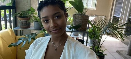 Plantbae model archive