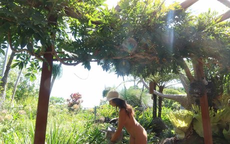 Jessa The Nude Blogger nice pornstar picture