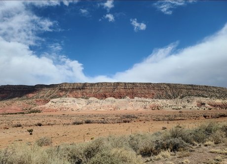 cui free xxx actress img