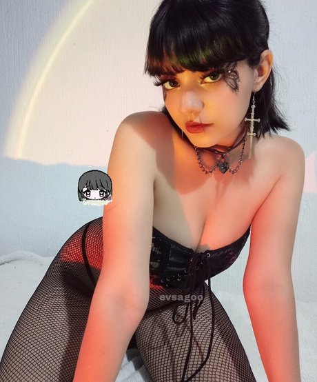 Evsagoo model hd archive