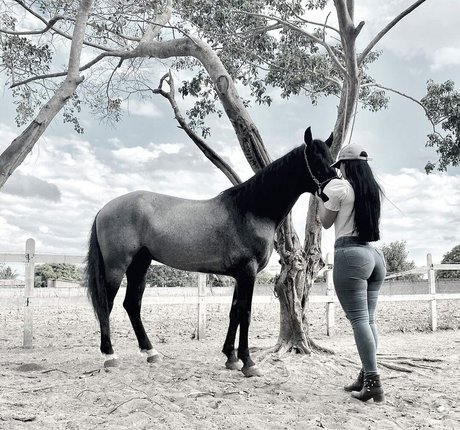 Lismara Moreira porn model archive