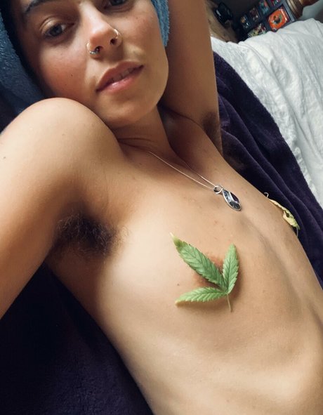 lolahippy star free pictures