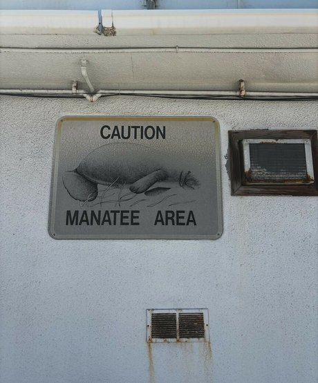 Hanna Luukkonen nude model picture