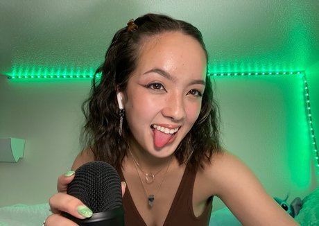 Earth s ASMR model beautiful img