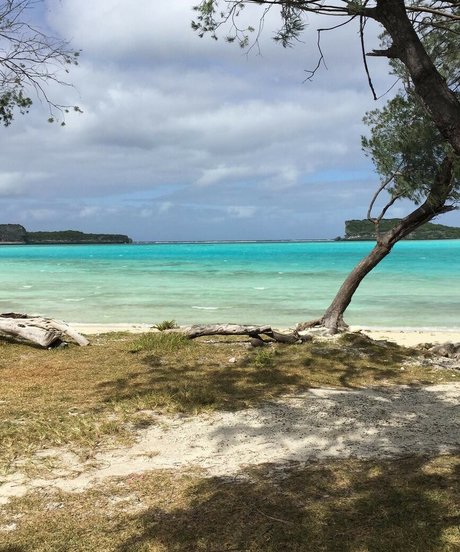 ass eating onlyfans nudes images