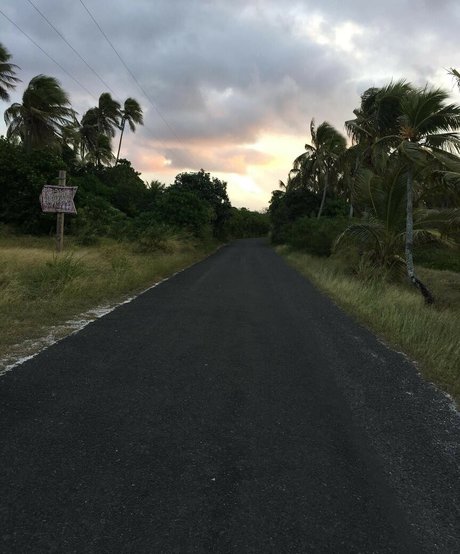 Adele tsy star pornographic pics