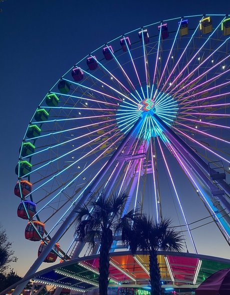 queen of spades art pornstar galleries