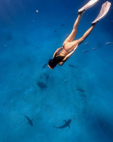 Tara Yummy beautiful pornstar galleries