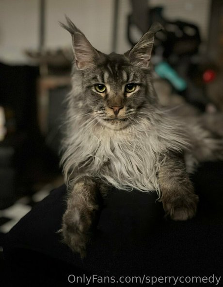 booty onlyfans best gallery