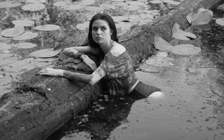 a krivoshlyk star hd pic