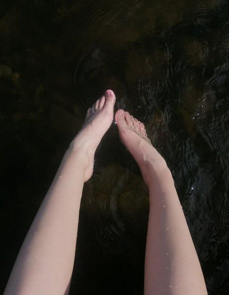 Halikontit model top img