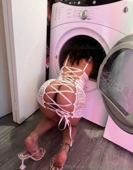 koabuddhaxxx star best gallery