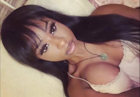 rwtarded free star gallery