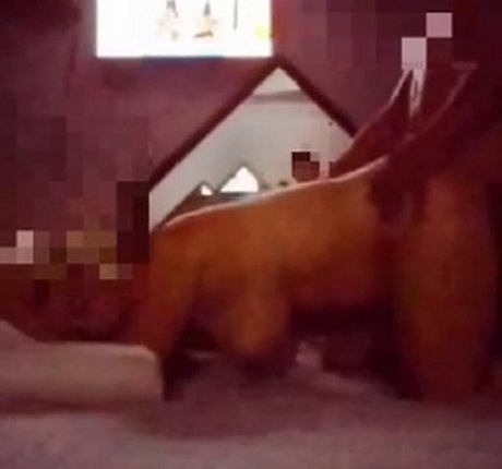 Rainhabruna best actress gallery