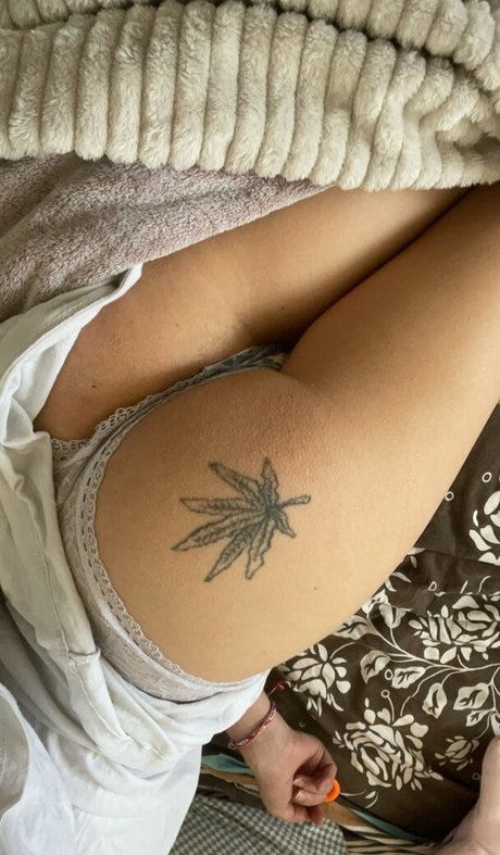 mqlll best pornstar galleries