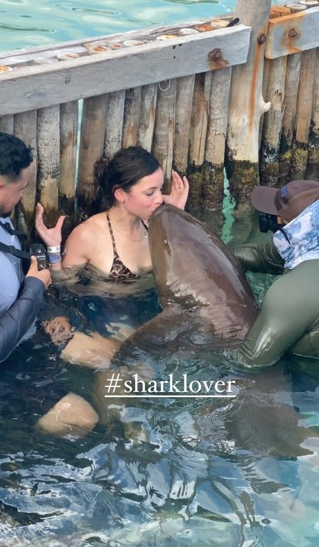 Solibeth Brito pornstar xxx galleries