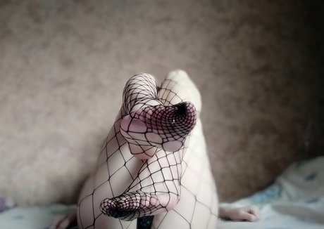 hannapilz model perfect picture