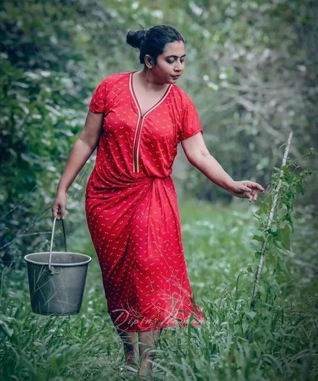 Nila Nambiar perfect star archive