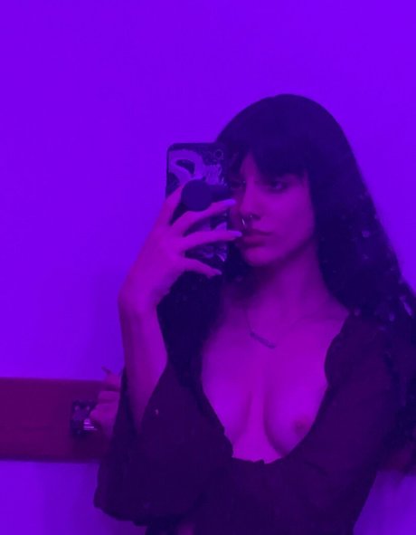 the sorrow dog star best galleries