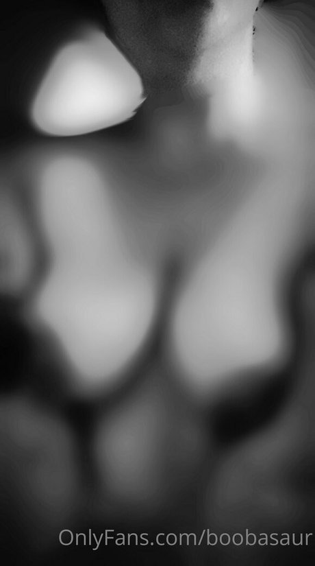 boobasaur model top image