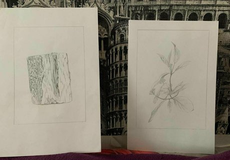 camillacammyy star perfect galleries