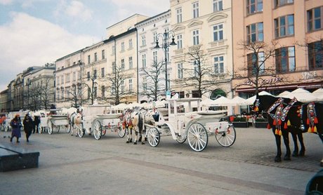 gay onlyfans nice galleries