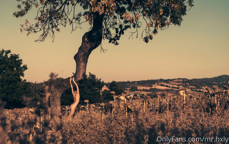 mr hxly free pornstar picture