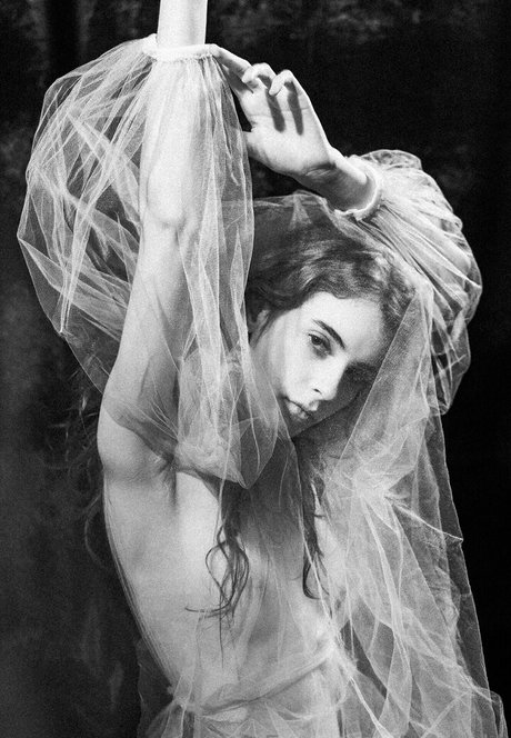 mr hxly hot model galleries