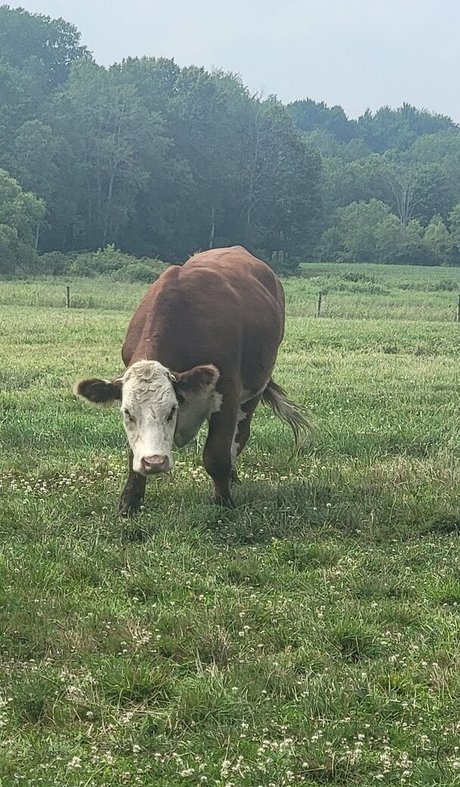 nellebeachgirl hot actress pic