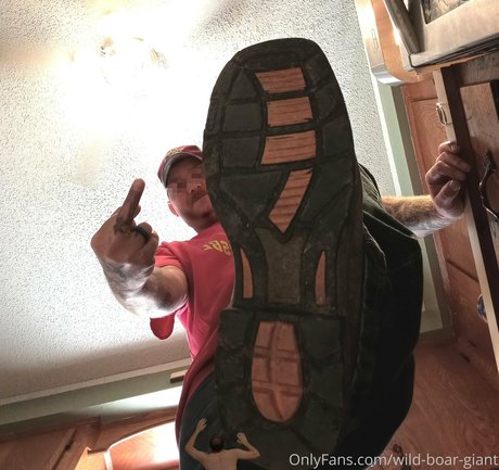 wild boar giant exclusive actress archive