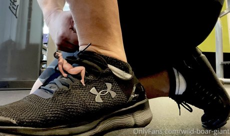 wild boar giant star sex gallery