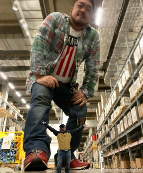 wild boar giant actress galleries