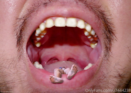 wild boar giant xxx star photos