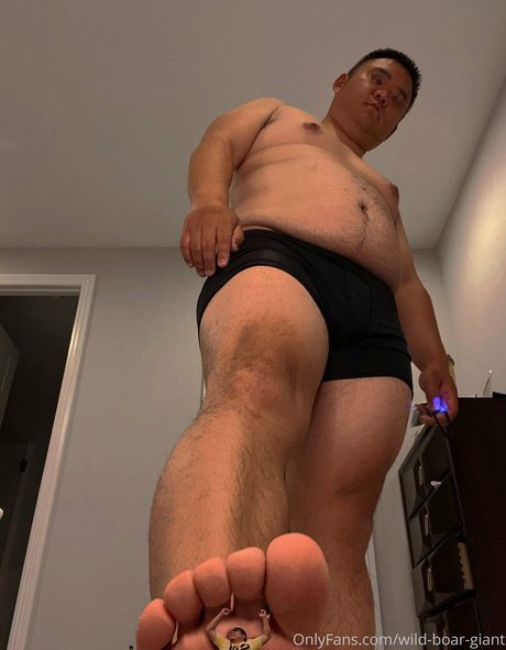 wild boar giant pornstar hot img