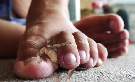 wild boar giant perfect model pic