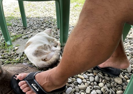 wild boar giant model porn photo