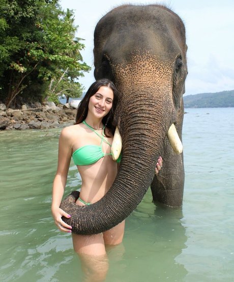 Tatiana Schwartz star beautiful images