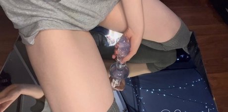 Quarlx nice model image