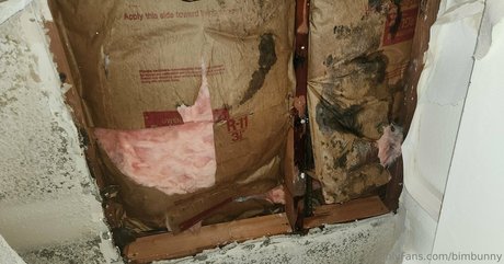 18 year old onlyfans free pic